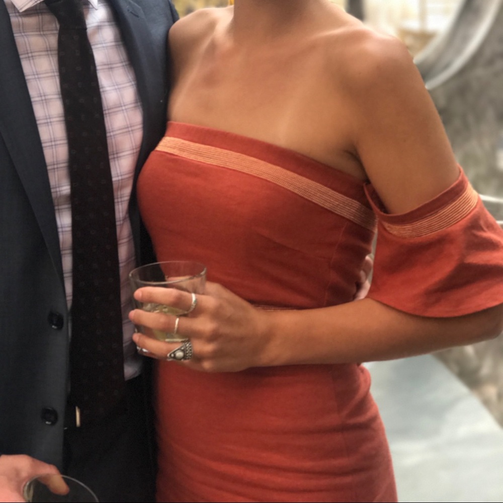 Stone cold fox Firenze dress